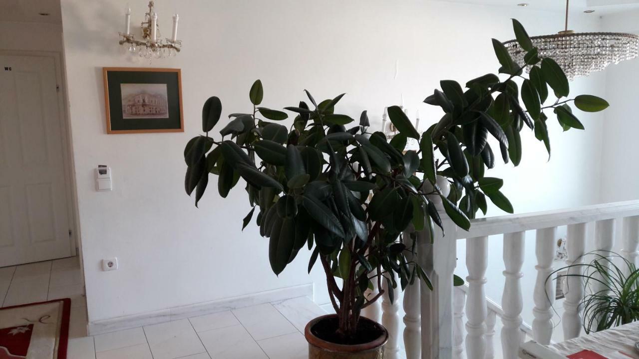 Leon'S Silberwald Apartment Strasshof an der Nordbahn Екстериор снимка